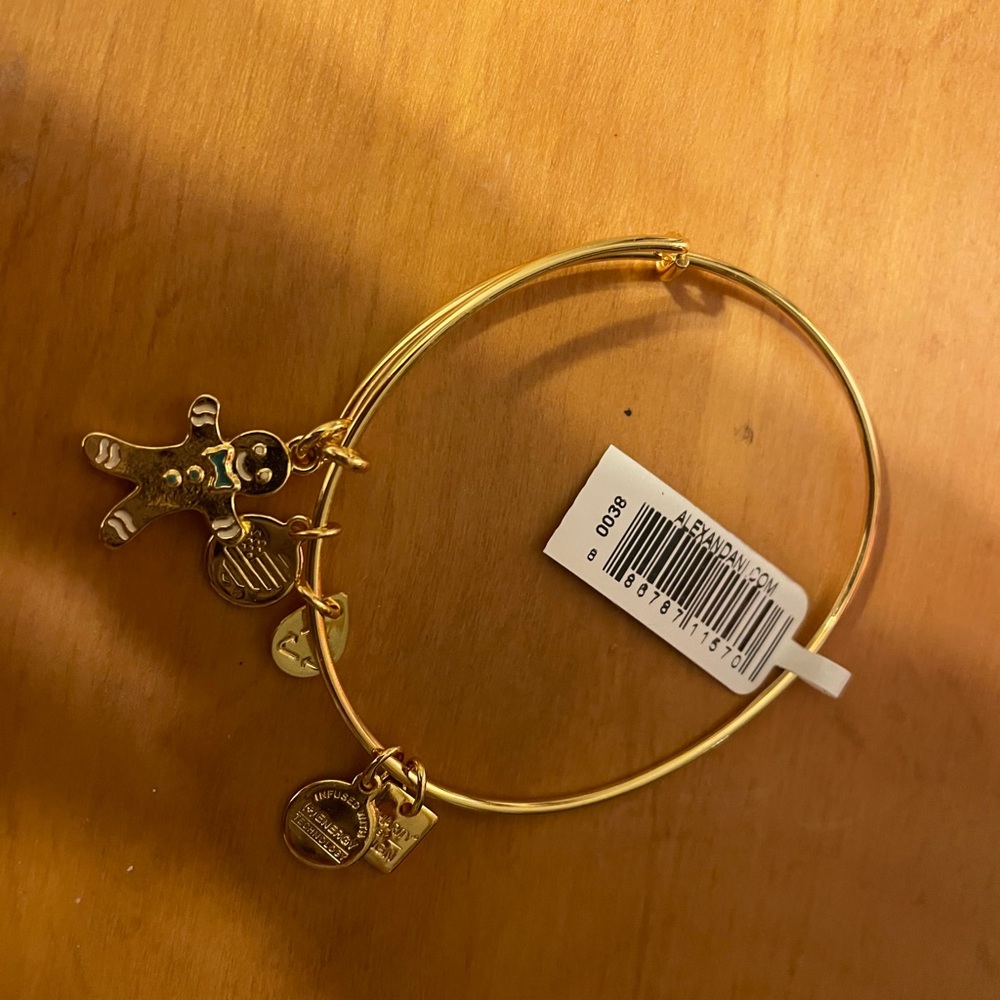 Alex and Ani Gold Charm Bangle